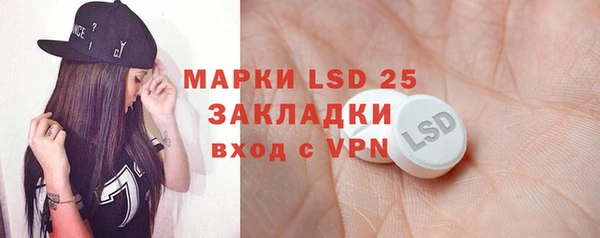 индика Алексеевка