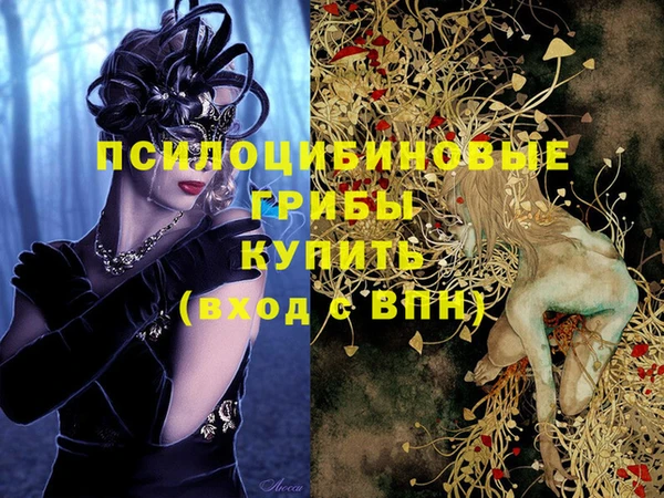 индика Алексеевка