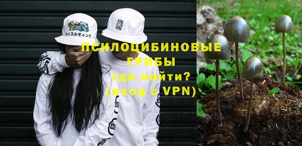 мяу мяу мука Алзамай