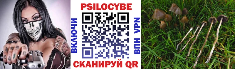 Псилоцибиновые грибы прущие грибы купить закладку ОМГ ОМГ tor Санкт-Петербург